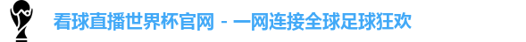 世界杯